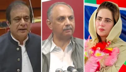 Shibli Faraz, Omar Ayub, Zartaj Gul