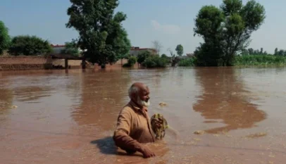 Flood Punjab Flood